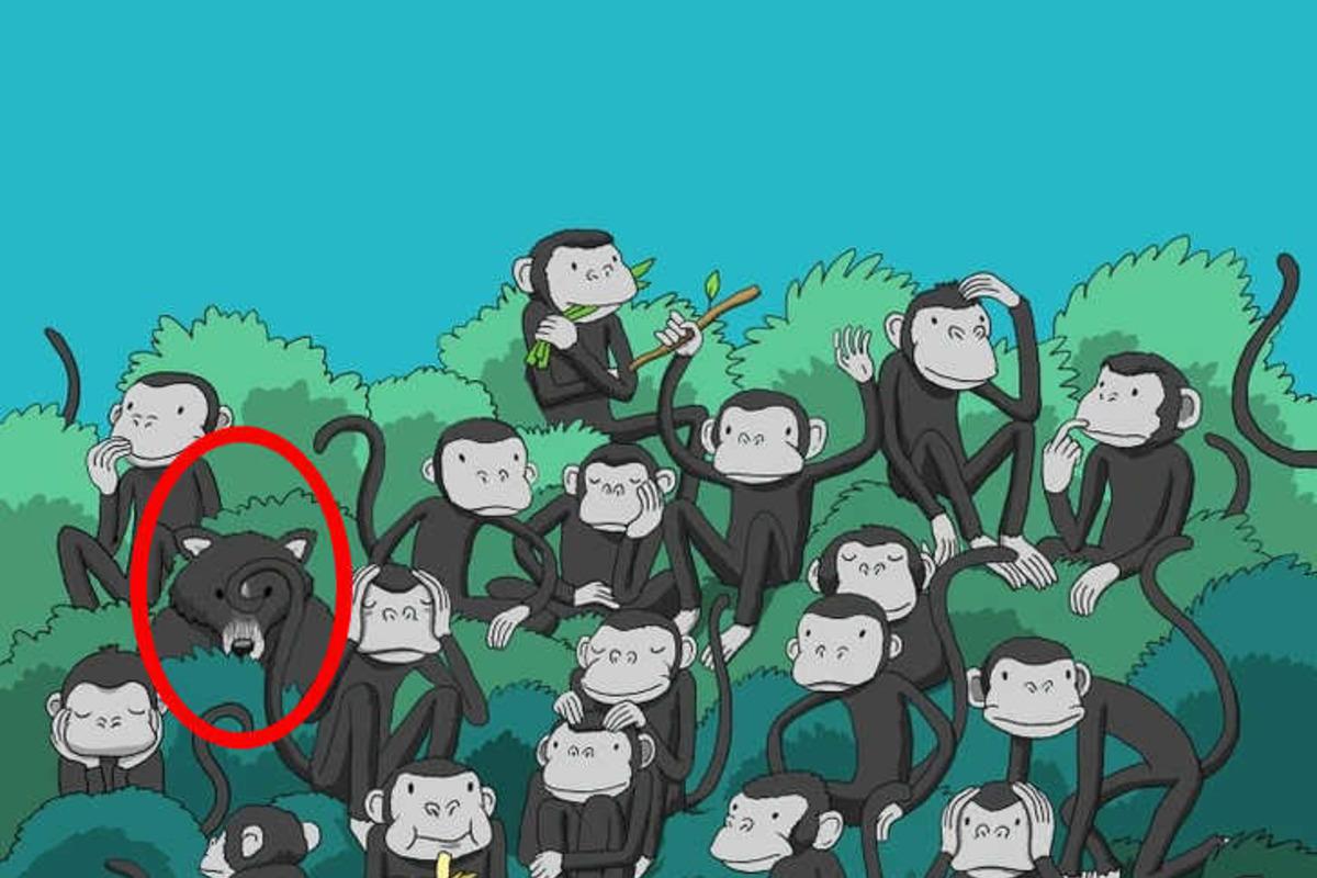 Zkuste vyřešit hádanku během několika sekund / Bright Side drawing