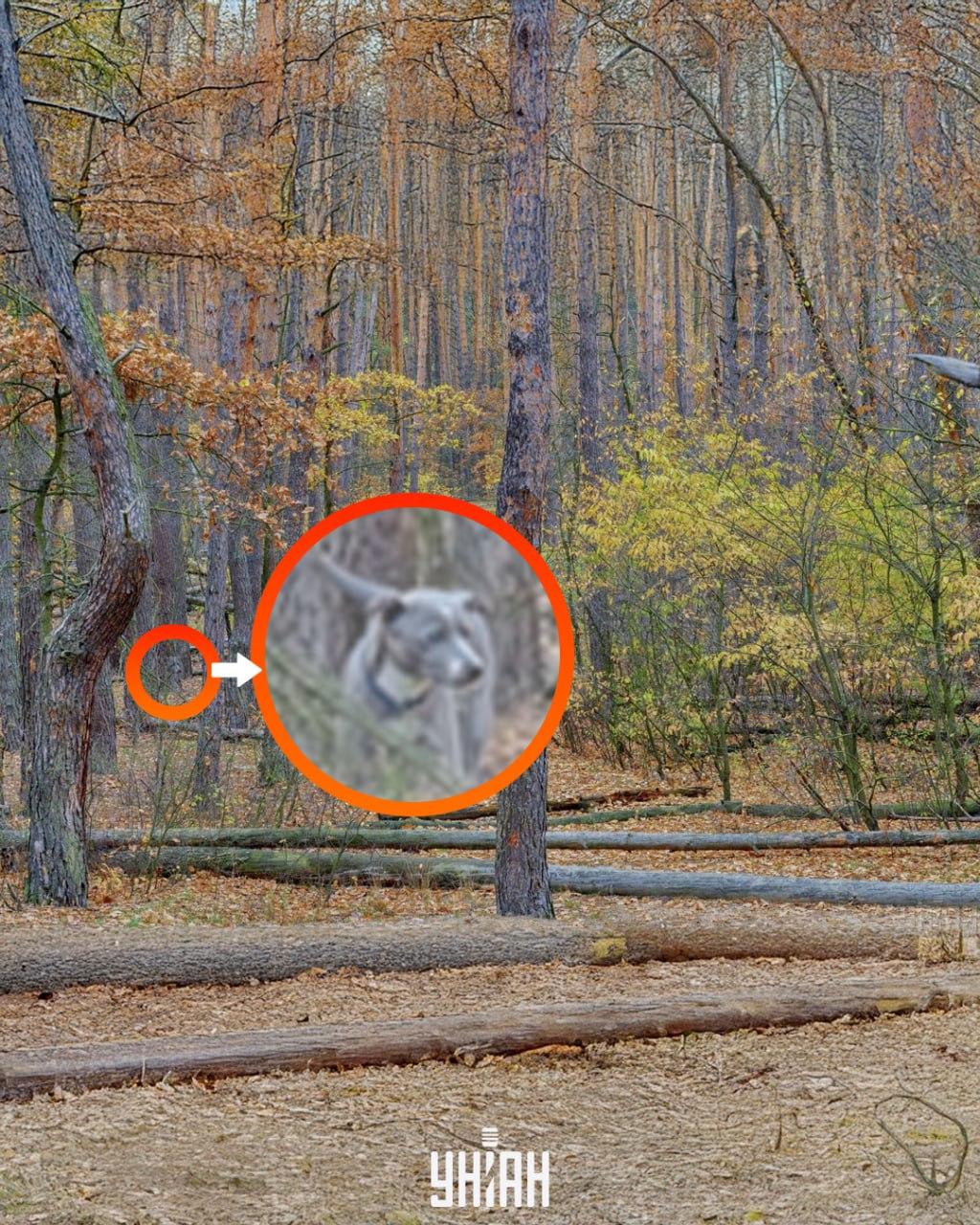 Foto Moje, Falin Volodymyr