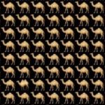 Hádanka pro ty, kteří mají výborný zrak: do 5 sekund musíte najít velblouda. Hádanka pro ty, kteří mají výborný zrak: do 5 sekund