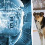 Pouze 2 % velmi chytrých lidí vám za 8 sekund